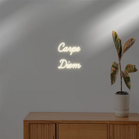 TON NÉON SUR-MESURE  : Carpe
Diem